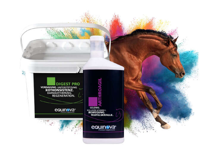 EQ Unsere Marken Equinova